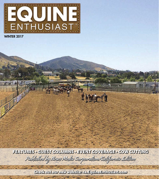 Equine Enthusiast I Rock N Ride article 2017